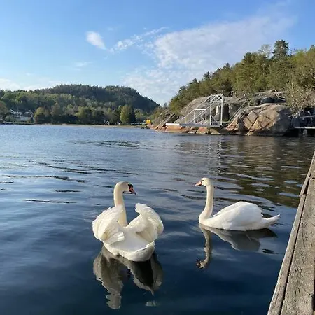 Ved Sjoen Med Til Leie - Juli Maned Lejlighed Porsgrunn