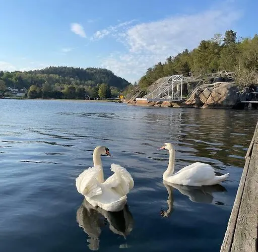 Leilighet Ved Sjoen Med Strand Апартаменты Порсгрунн